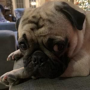 Meet your Posher, Dana